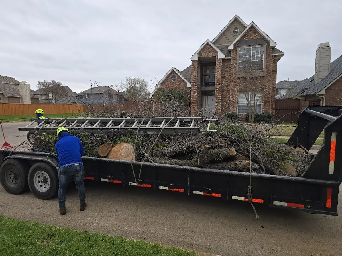 Expert Lot Clearing with proper safety equipment in Garland